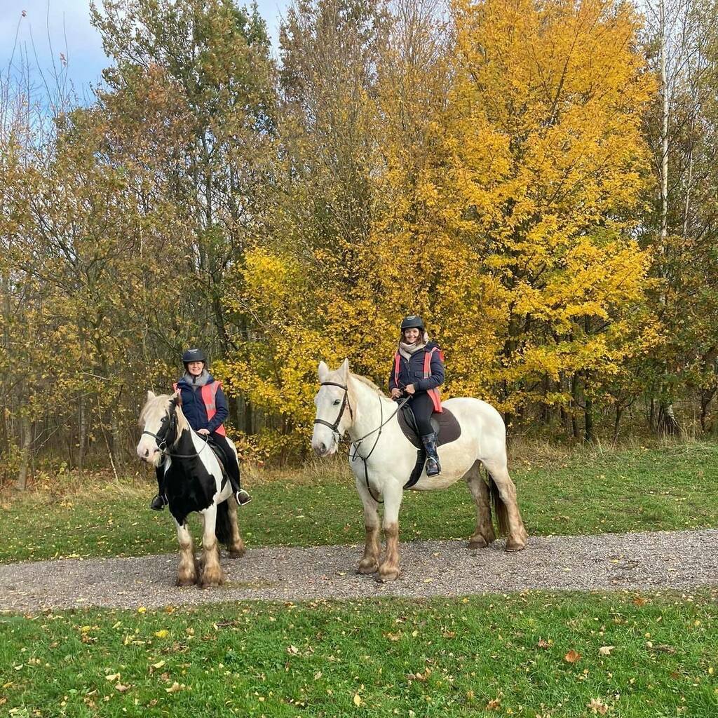 PonyTrek's tweet photo. Ella and Lauren getting back in the saddle this morning with Jasper and Mr Tubs. 🐴🐎 .
.
.
#horseride #horseriders #horseriding #horseback #horsebackriding #horsetrek #horsetrekking #ponytrek #ponytrekking #horsehack #horsehacking #hackingout #trailriding #trailridingadventur… https://t.co/7pvS9zz0BC