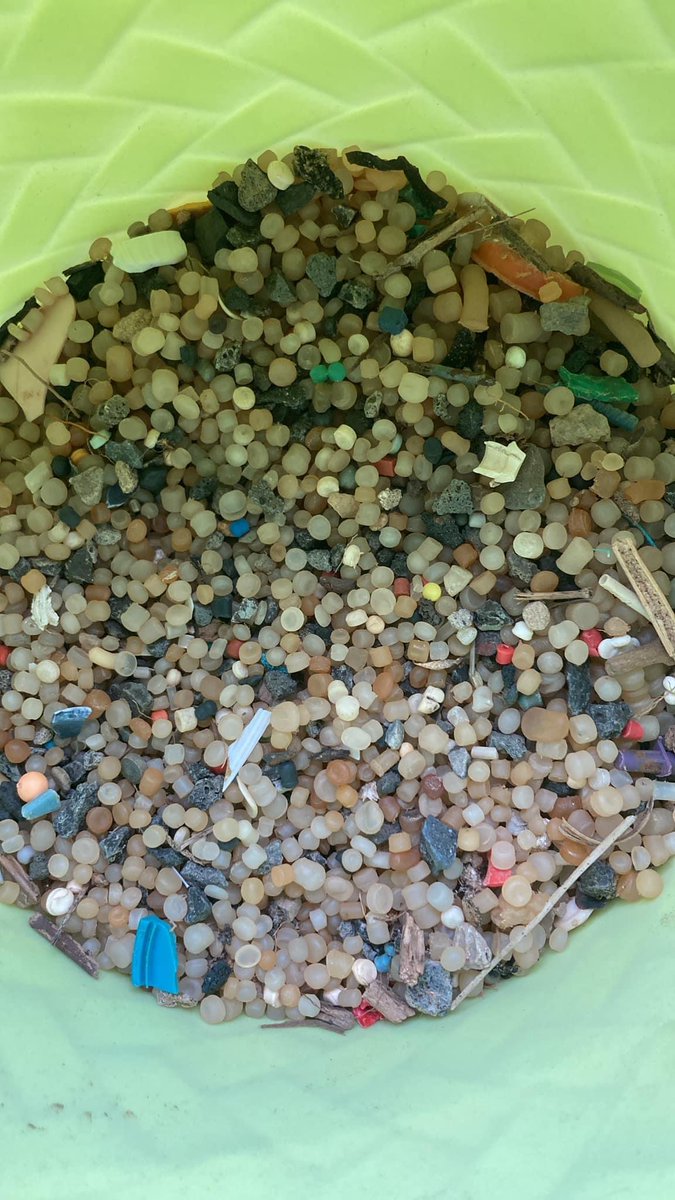 LitterMarske's tweet photo. Anyone fancy a spot of nurdling? Some of our volunteers are meeting at 10am on Sunday morning next to the boats to collect as many nurdles as we can.
Bring a bucket, old kitchen sieve if you have one and plenty of patience 🤩 https://t.co/ukZ1mJXpve