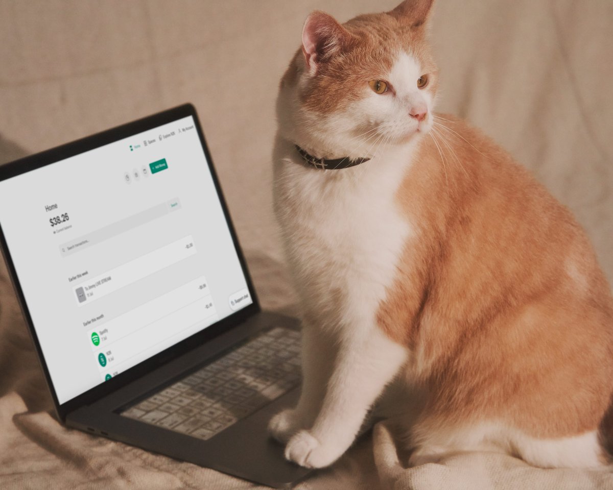 N26 US 🇺🇸 tweet media