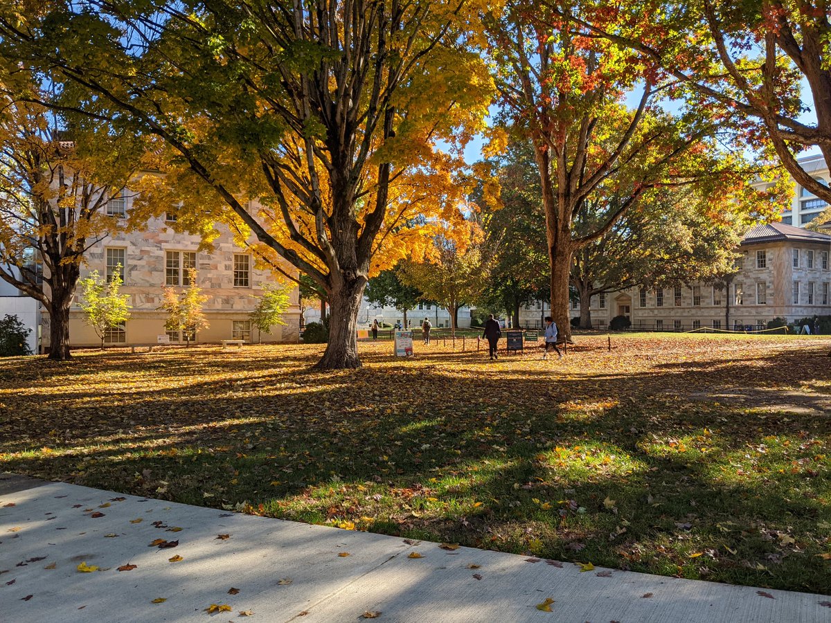 Fall, Emory.