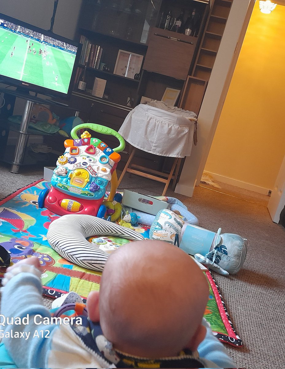 Rkellyshoefan's tweet photo. Totally engrossed in the game. IRE Vs NZL..@RTEsport  @IrishRugby #COYBIG https://t.co/4V6bVCo1xm