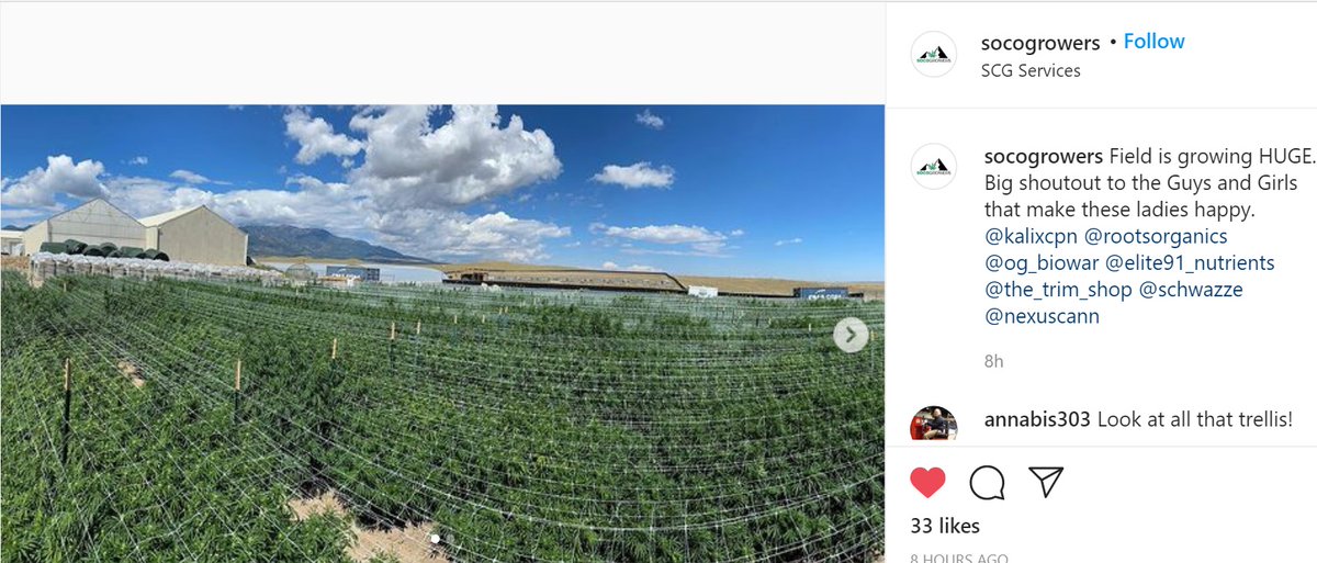 Drugdoctor2014's tweet photo. $SHWZ $2.18 - #marijuanastock will report earnings Monday- Revenue increases and NET PROFITS...

 $GS $S $GOOG $DIS  $IBM $MSFT $BIDU $VZ $ADBE $AMAT $ADSK $AVGO $BABA  $CDNS $CAVM $CERN $PCLN  $NFLX $CHTR $FOXA $ROST $DISH $MAT $BBBY $VIAB $QVCA $NCLH $TSCO $LVNTA $ILMN https://t.co/gf4QFtQlVd