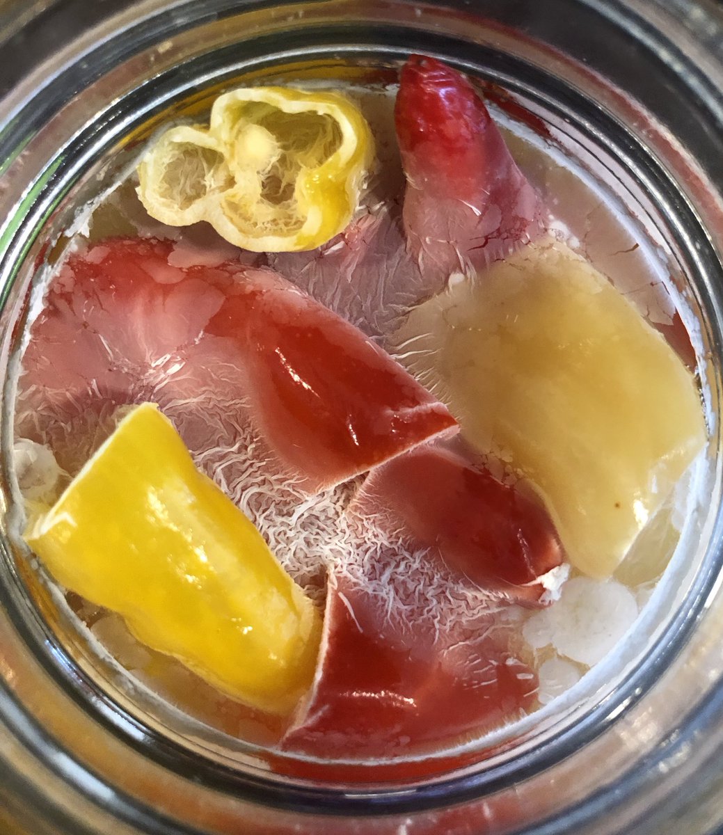Been fermenting these hot peppers for a week. Bubbled for a few days. Now this… What’s going on here and what do I do?