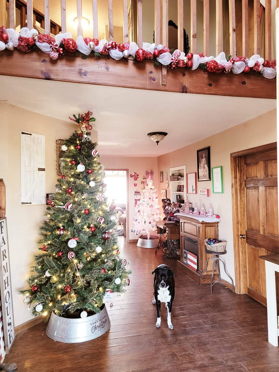 TheShadowSiste2's tweet photo. Christmas at the #hauntedfarmhouse is in full swing ❤ https://t.co/Zsbn9F6yhj
