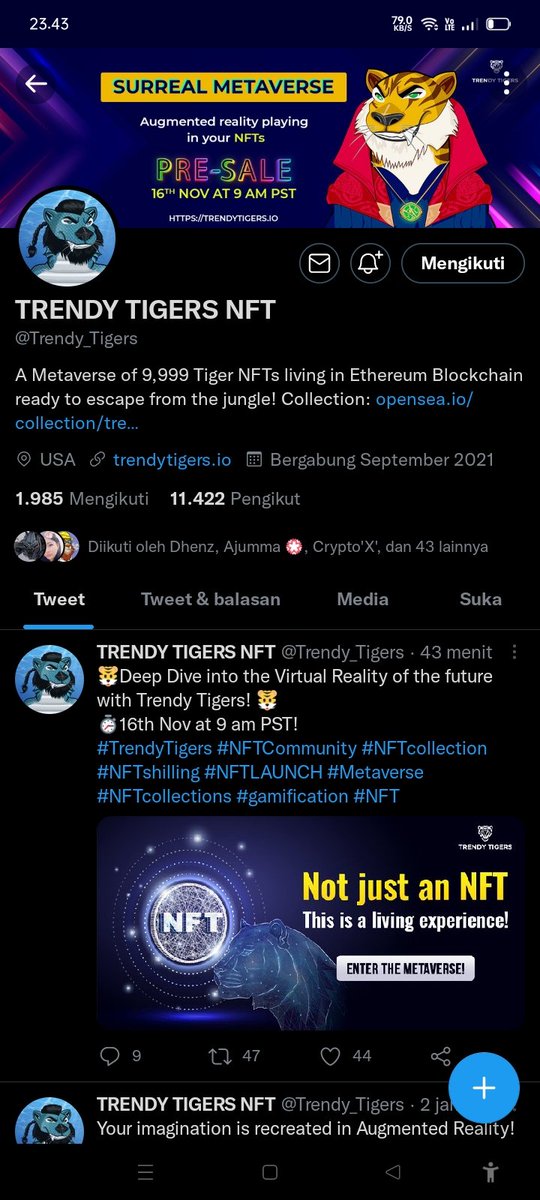 schrick_79's tweet photo. @gemhost @Trendy_Tigers https://t.co/jjSyNj37wE