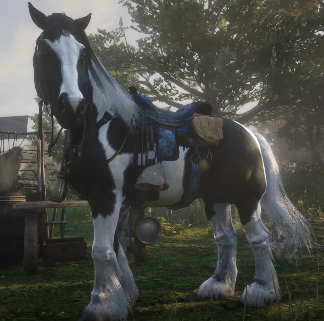 teddeadR1's tweet photo. 本日も色々な事がありましたが、皆さんと遊ぶと楽しいです🤩
＃RDO  #RDR2 https://t.co/bqDn8np4na
