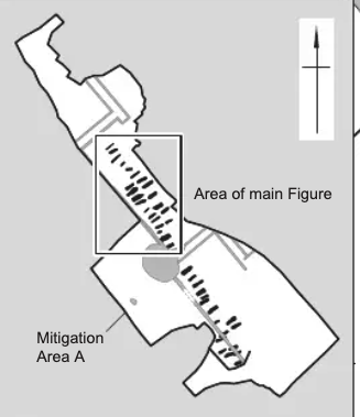 Robin Fleming tweet media