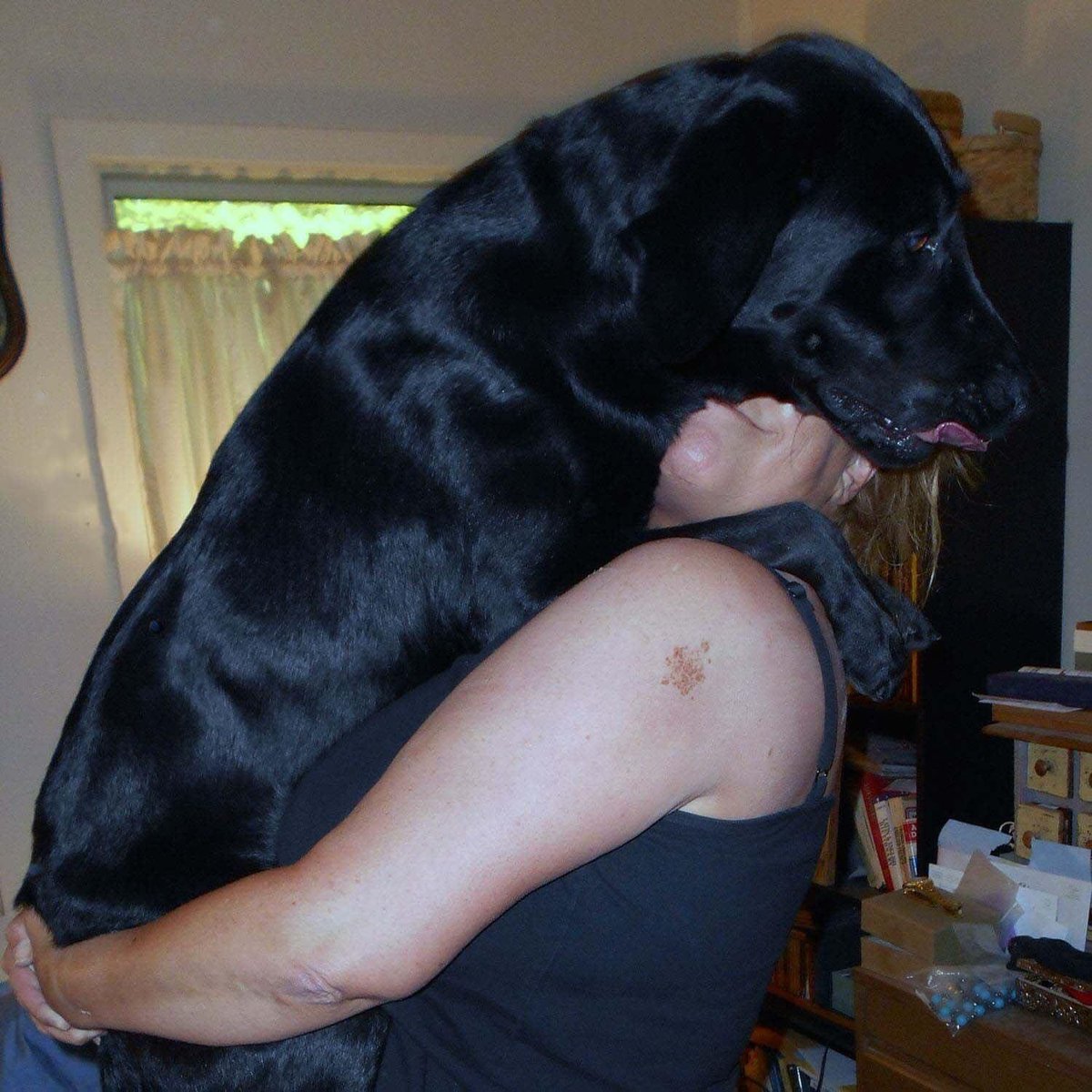 Nuke the Lab🏁 tweet media