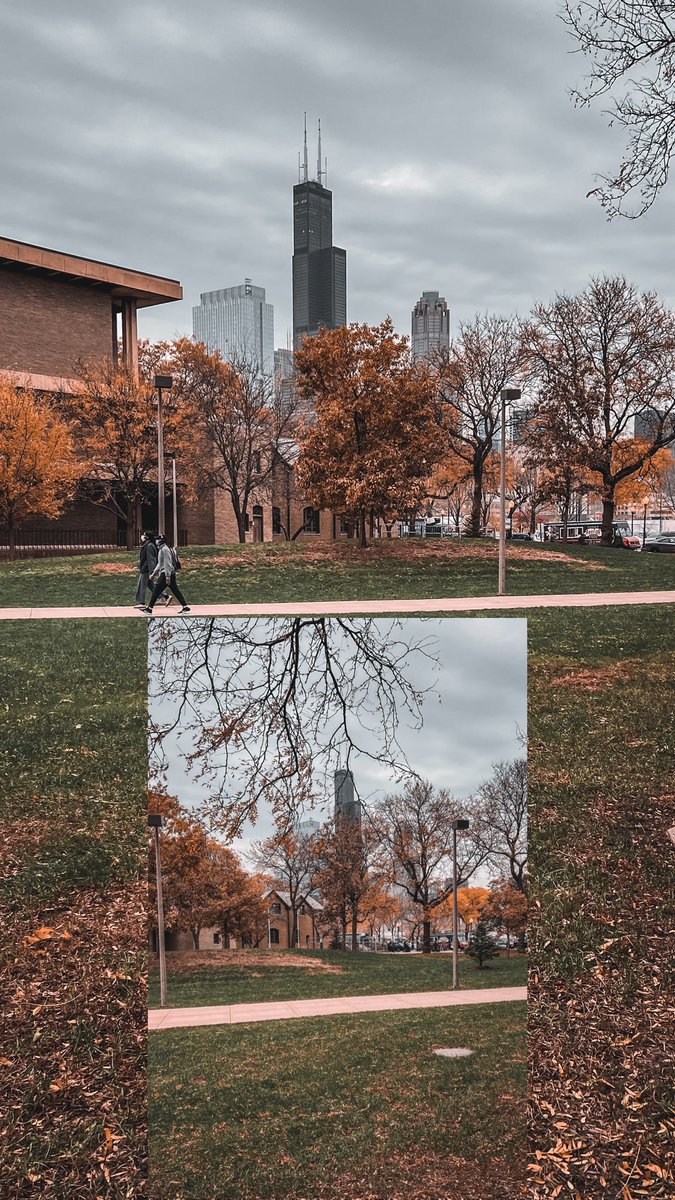 Montaserhamayel's tweet photo. Chicago, Illinois 🍂🍂

@UICnews @thisisUIC https://t.co/EJCanaD0TW