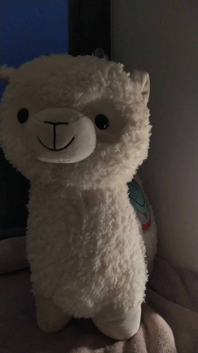 LaneStay1's tweet photo. my mom buy me hyunjin 🦙 https://t.co/gcbbkmJhaj