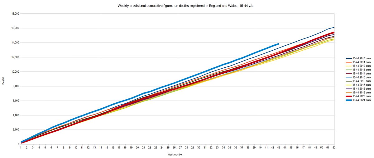 No Vaccine Mandates Anywhere tweet media
