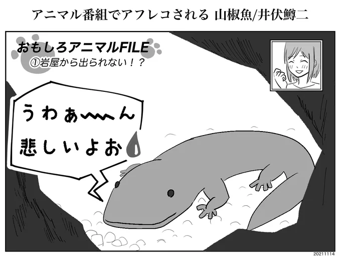 [1コマ]アニマル番組でアフレコされる山椒魚/井伏鱒二
#1コマ #一コママンガ #1コマ漫画 
