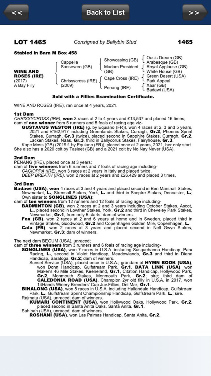 MichealOrlandi's tweet photo. Delighted to have bought #WineAndRoses 🍷💐 @tatts_ireland today to add to the @CompasStallions broodmare band 🐴🐴🐴

From the same sale where we sold #GustavusWeston 🏇💨 

Picked up some @KUROSHIO_TBRED foals &amp; a #SmoothDaddy foal too 🤞💪🐎🍀🏎 🙌 https://t.co/nkUKZdgqf1