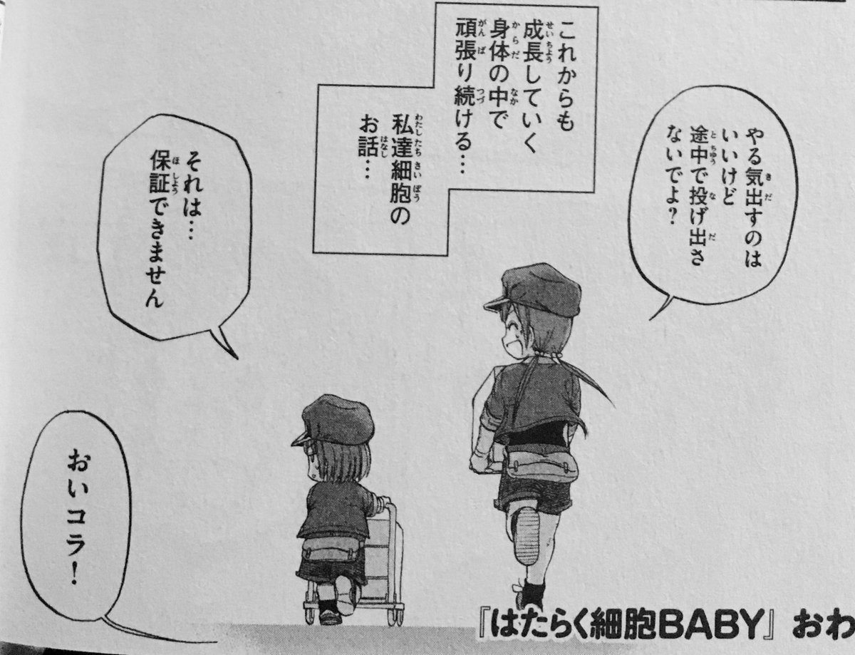 Twoucan 福田泰宏 はたらく細胞baby4巻10月21日発売 Yasuhiro Fkd Twoucan 福田泰宏 はたらく細胞baby4巻10月21日発売 Yasuhiro Fkd