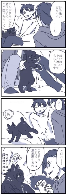ネコチャン漫画
最終的にぐだくんのおひざに落ち着いたけどずっとりかくんのこと見てそう 