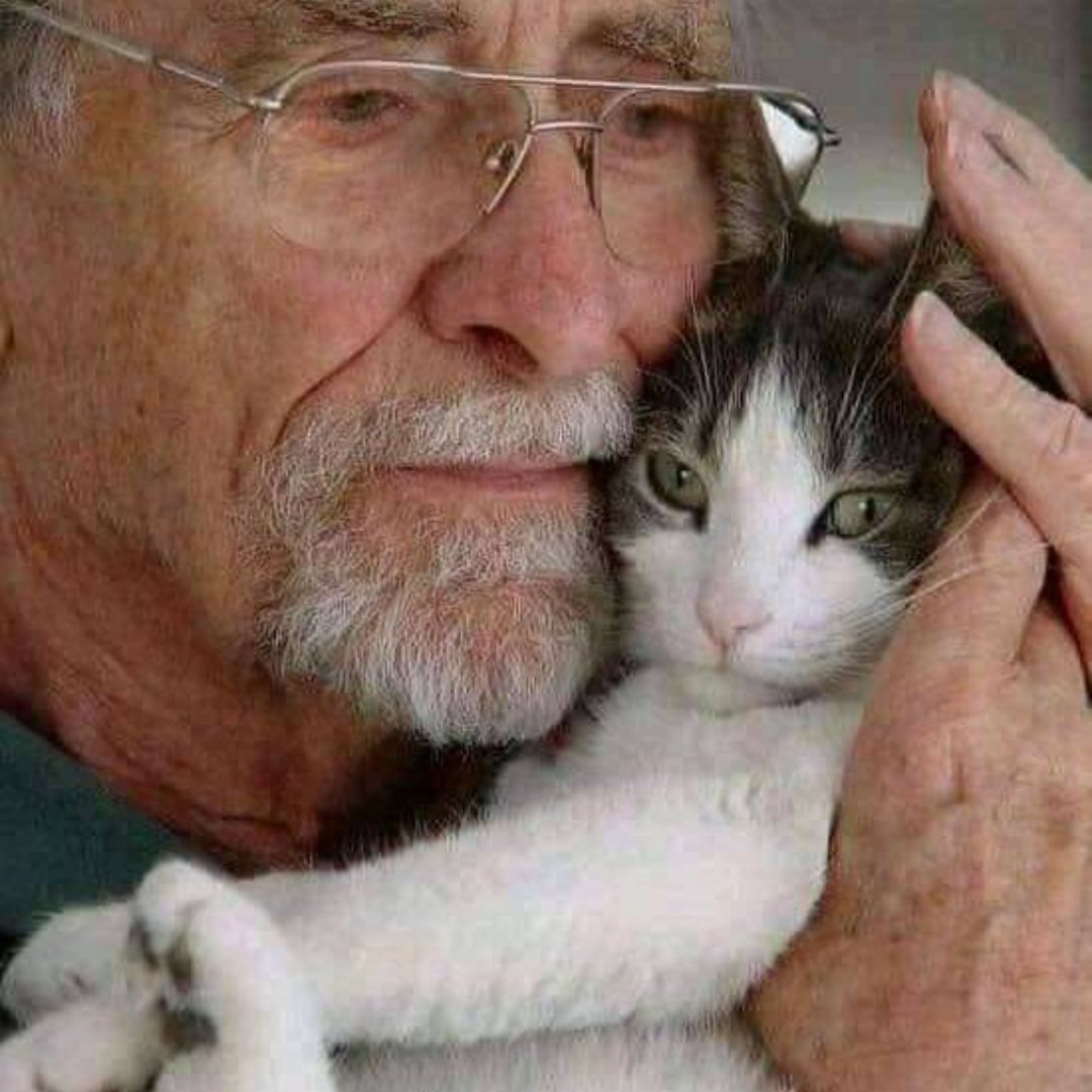 NasoNas1's tweet photo. Certains humains sont merveilleux. 😻 https://t.co/xpWgQfB8yq