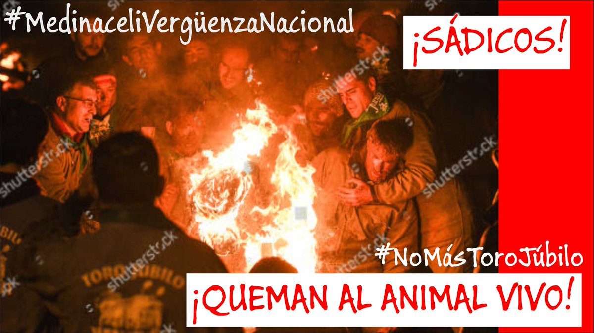 Pablitiko269's tweet photo. A Felipe Utrilla Dupré (PP) le gusta ver cómo los garrulos de Medinaceli queman a un toro
@_Medinaceli 
@dipsoria 
@alferma1
@cyltv 
@soria_tv  
@sanchezcastejon
@miqueliceta
#MedinaceliVergüenzaNacional 
#NoMásToroJubilo https://t.co/x7kQXogZew