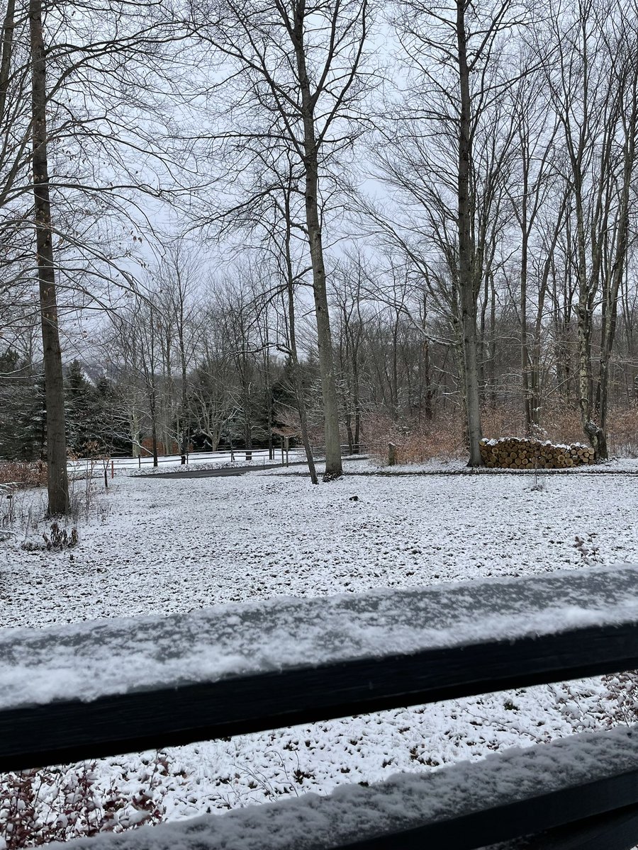 bunderwod's tweet photo. A little snow in the #canaanvalley @capitalweather https://t.co/snHynm9bd8