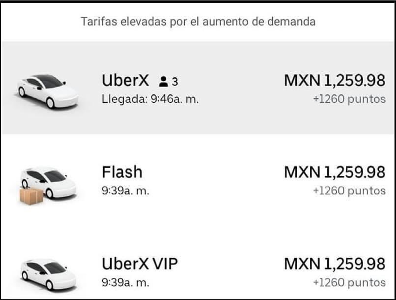 APODACA NEWS tweet media