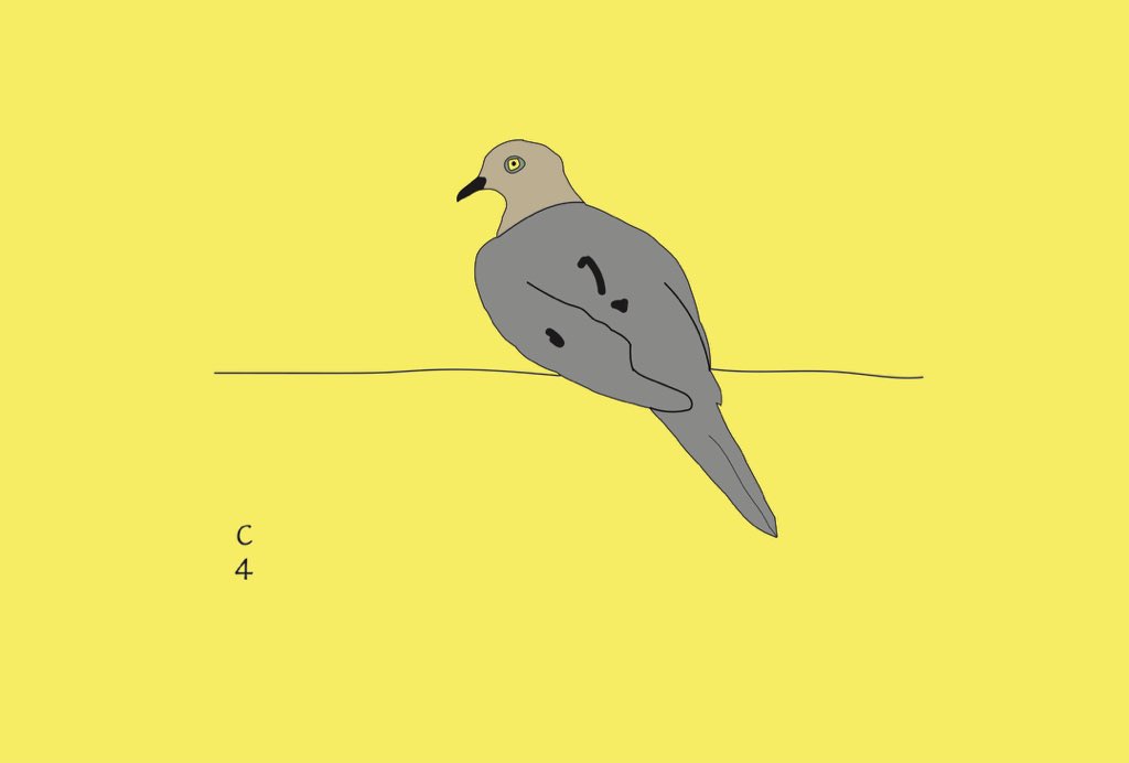 nftkingdom__'s tweet photo. Piece #3 of collection #3 features a mourning dove! 

-
-
#nft #nftart #eth #ethereum #opensea #blockchain #uplandgame #mourningdove #helptheanimals #du #crypto #cryptocurrency https://t.co/glVnNY7msA