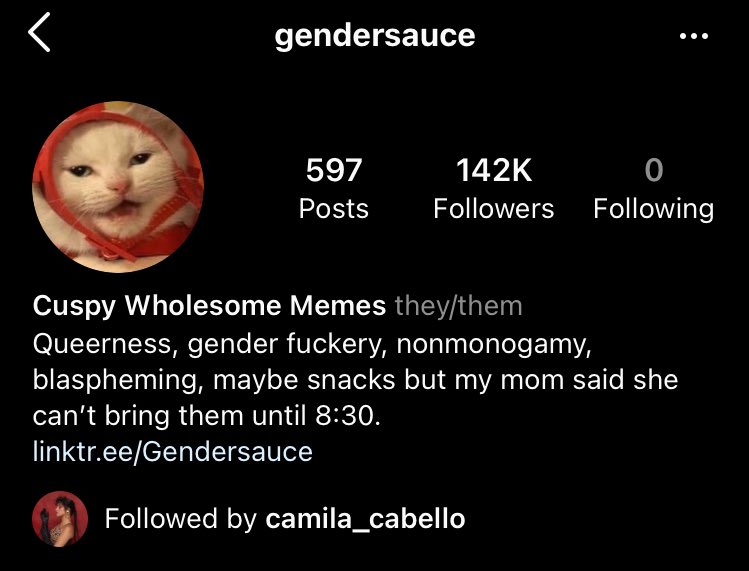 IG • Camila started following 
@/gendersauce Instagram