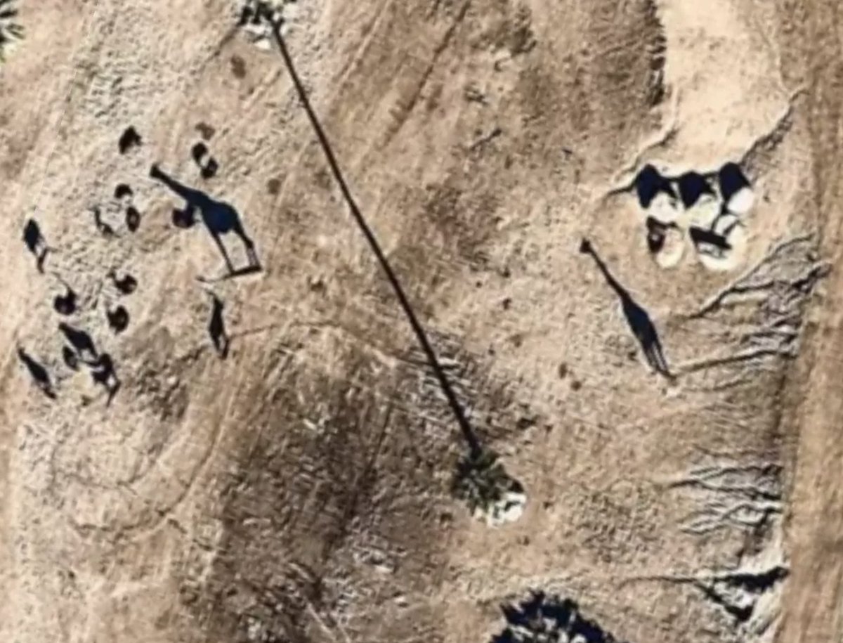 Pratik Yadav tweet media