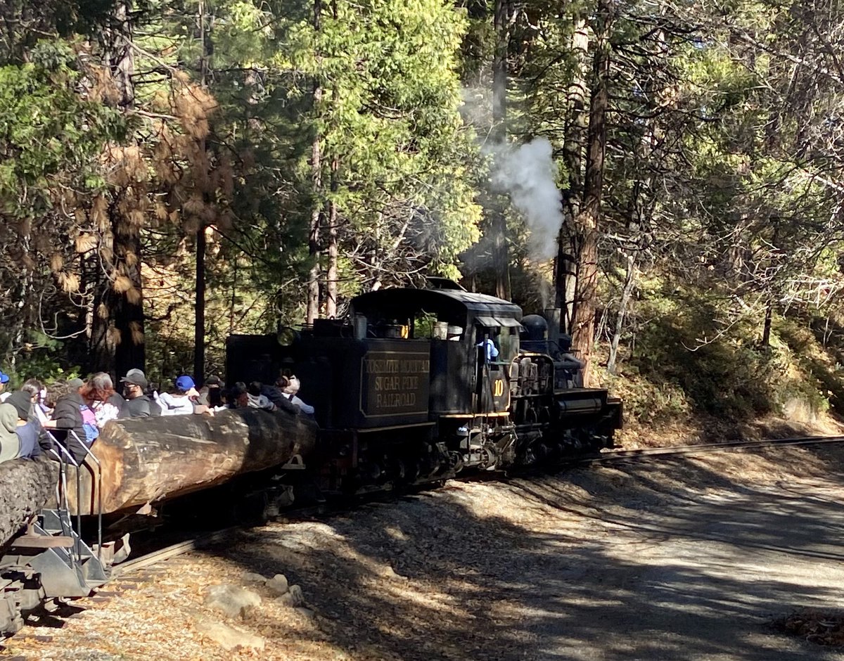 Never Bored Family tweet media