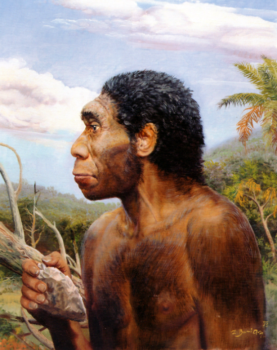 Синантроп образ жизни. Архантропы (homo Erectus). Зденек Буриан неандерталец. Человек прямоходящий homo Erectus. Зденек Буриан каннибалы.