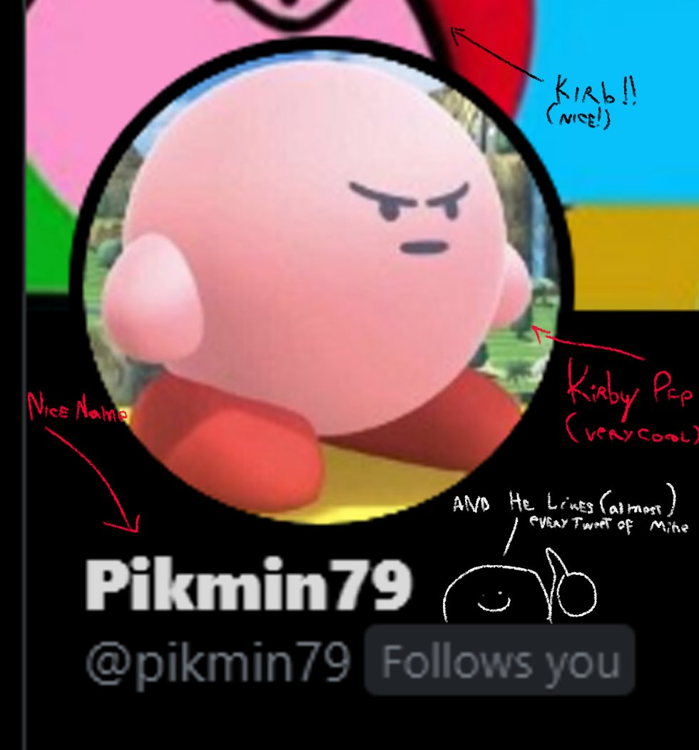 sabanmoon's tweet photo. @pikmin79 appreciation post!!! https://t.co/c6DedDc24K
