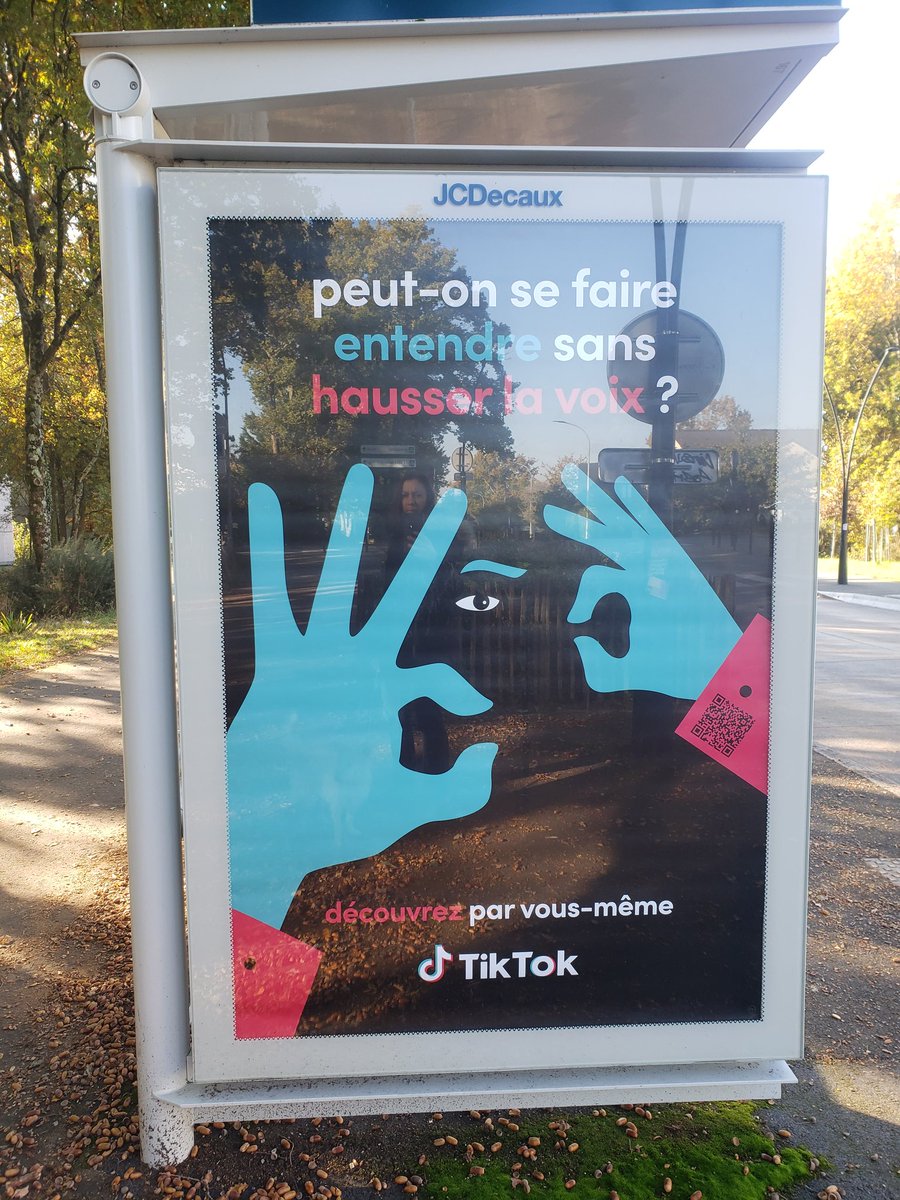 J'ai découvert cette belle affiche et du coup un petit jeune qui nous apprend des signes (oui je découvre tiktok) #LSF #accessibilité je trouve ça génial. Peut-être que ça répond à la mode bébé signe? Mais + il y aura de gens qui signeront + ce sera top!