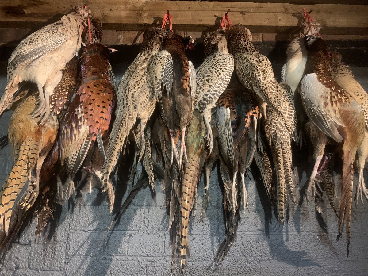 homediningthyme's tweet image. Amazing fresh delivery this afternoon, think it’s time for a menu change 😍