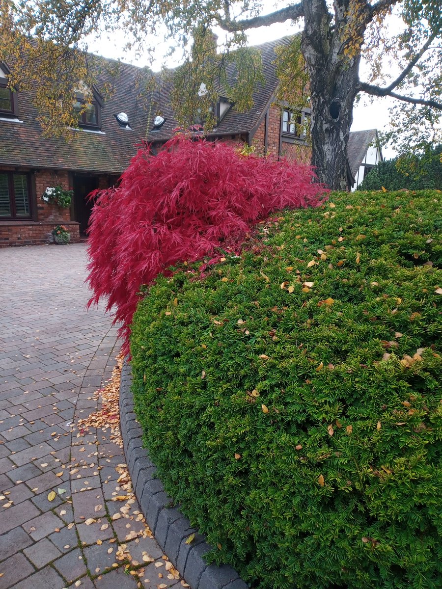 Alan Gardner 💙 tweet media