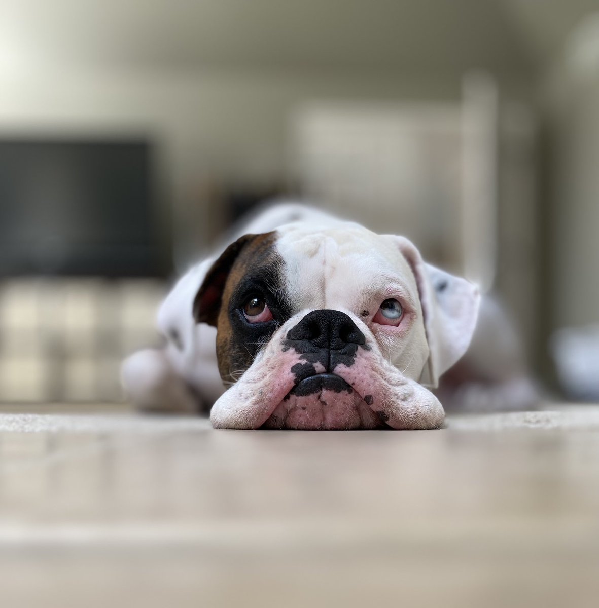 Walter=Sweetness