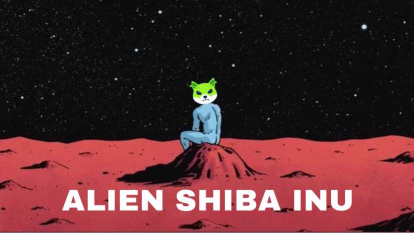 CryptoMatrix01's tweet photo. @WhaleInsider undervalued &amp; unknown by many is @AlienShibaInu yet seasons change &amp; time moves on &amp; quietly an alien invasion happens &amp; before you know it $ASHIB has imposed the #AlienShibaInuVerse on Earth #ASHIB is a beautiful #crypto #1000xgem ask @elonmusk he knows what’s up https://t.co/6HMvDRrmUy