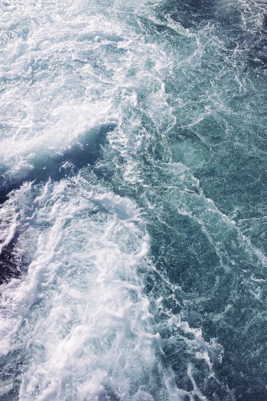 Archillect (@archillect) on Twitter photo 