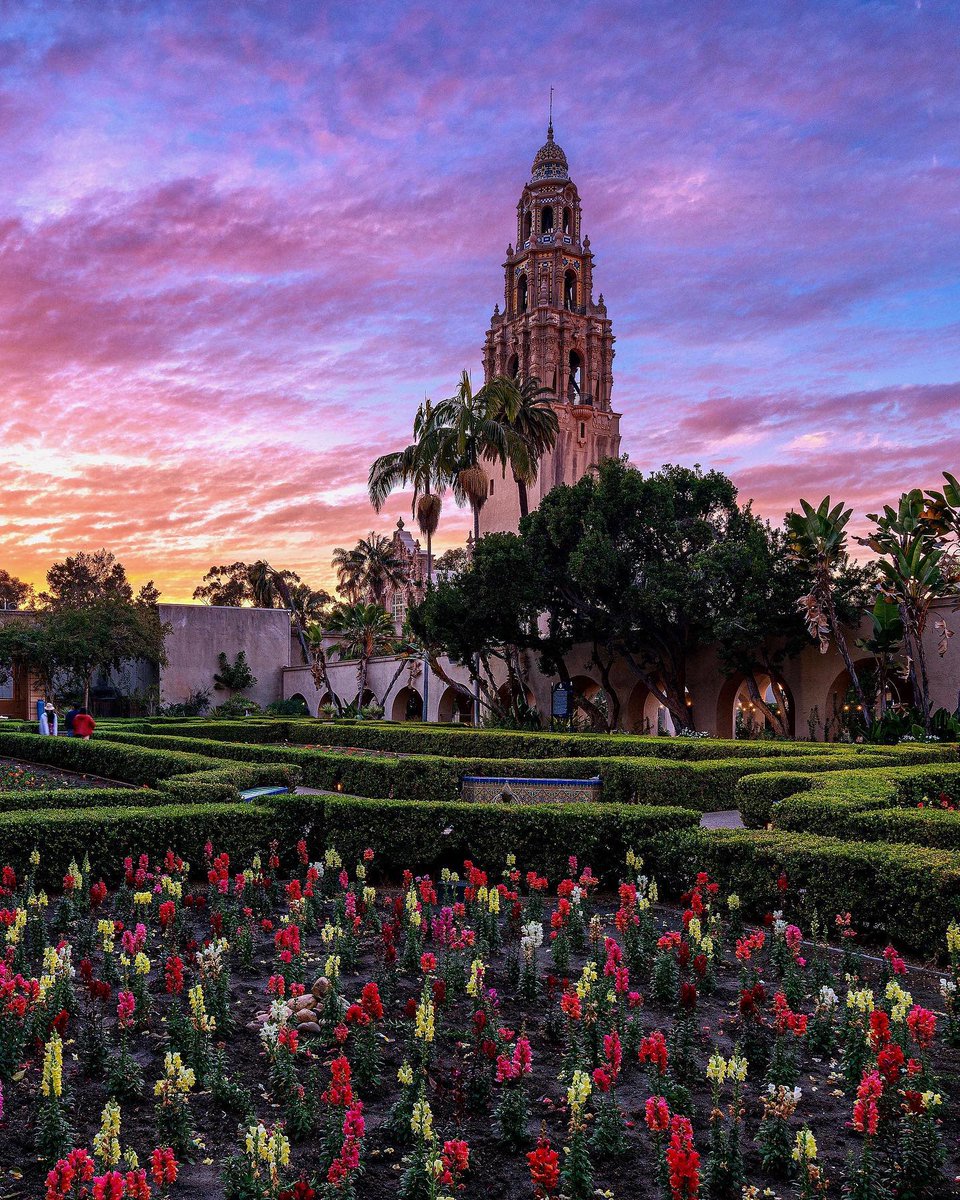 BalboaPark's tweet photo. We don't know about you, but we'll never get tired of these breathtaking sunsets. Just like we'll never get used to the sun setting at 4:30... 😉
📷: @jbahuphotos https://t.co/ew4ByBFTCn