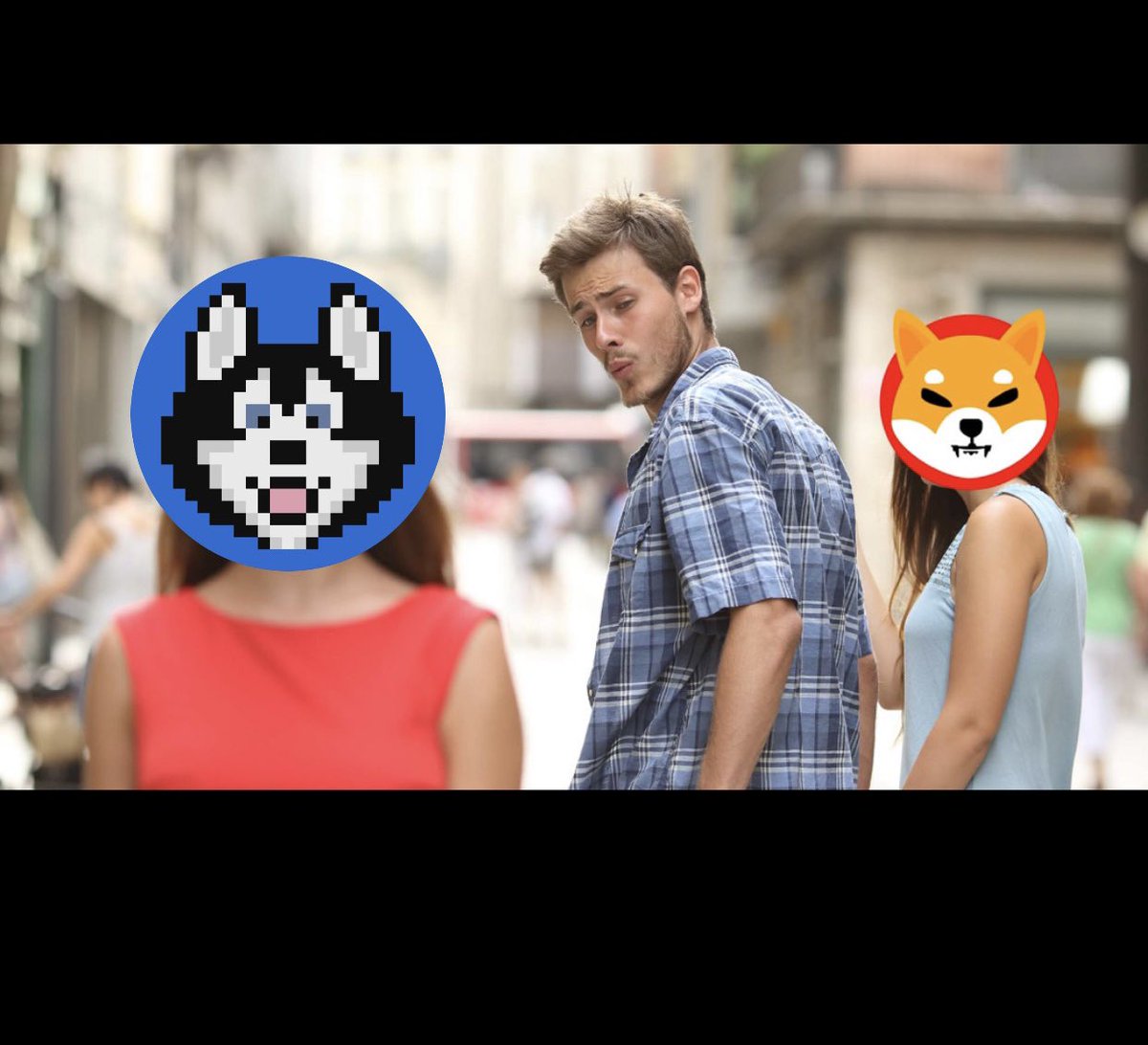 ItsNala's tweet photo. @hoskytoken https://t.co/5ViRGISI2g