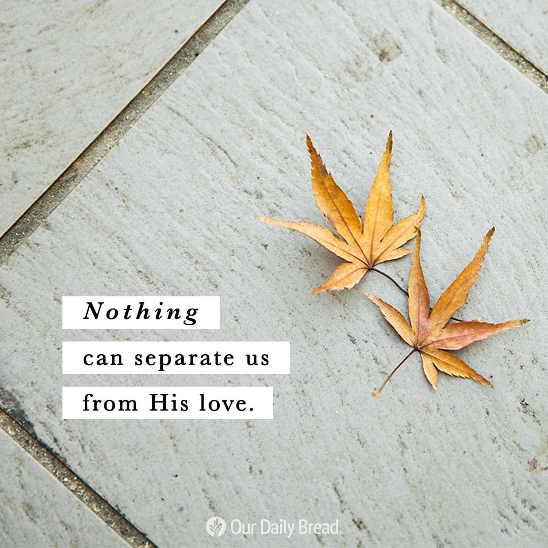 mamochkalen's tweet photo. Heavenly Father, open my eyes and heart to understand more of Your love, and help me realize that Your love is enough for my life. 🙏🏻🤍🕊 @ourdailybread #NothingCanSeparate #OurDailyBread #ODB #WordOfGod https://t.co/3cZLuBB2e9