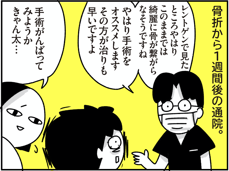 ブログ更新しました。

きゃん太、ケガをする その4 - ちょっ子さん https://t.co/bzz69dGlb7 