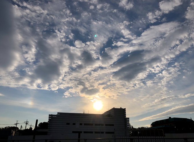 真如苑インフォメーションさん の最近のツイート 1 Whotwi グラフィカルtwitter分析