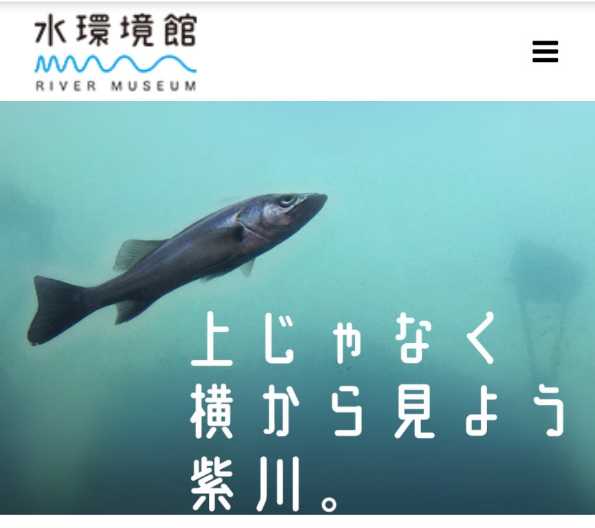 p_san0320's tweet image. 目が覚めたら通知欄がエライことに(^_^;)
出典元は「北九州市水環境館」さんです。小倉駅から商店街を抜けて小倉城へ至る途中の無料施設で、川の治水やいきものについて学べます。
かわいい淡水魚やカエルも居ますよ。会いに来てね
mizukankyokan.jp