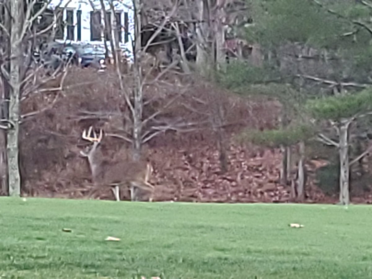 nateslgcs's tweet photo. Get off my lawn! #grumpysuper https://t.co/RYZjDsLRer