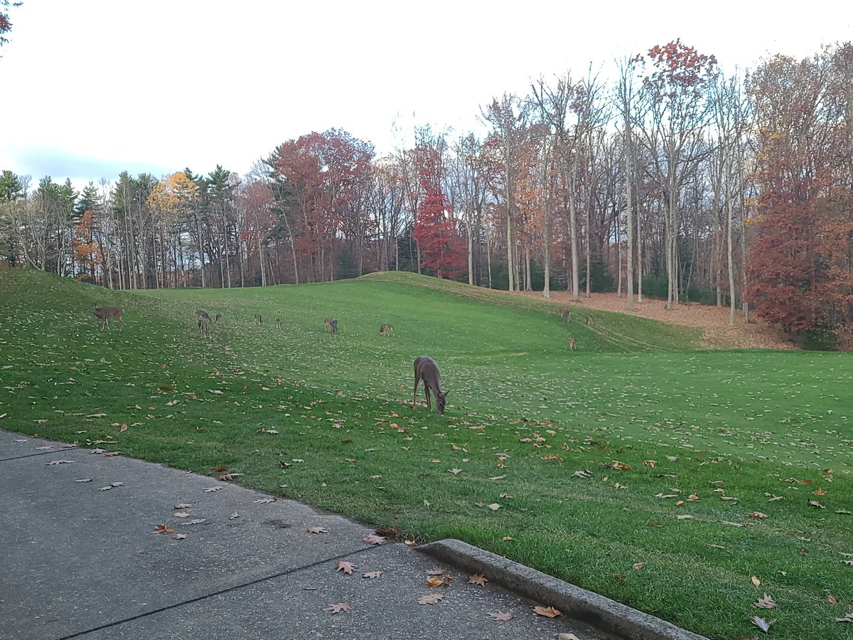 nateslgcs's tweet photo. Get off my lawn! #grumpysuper https://t.co/RYZjDsLRer