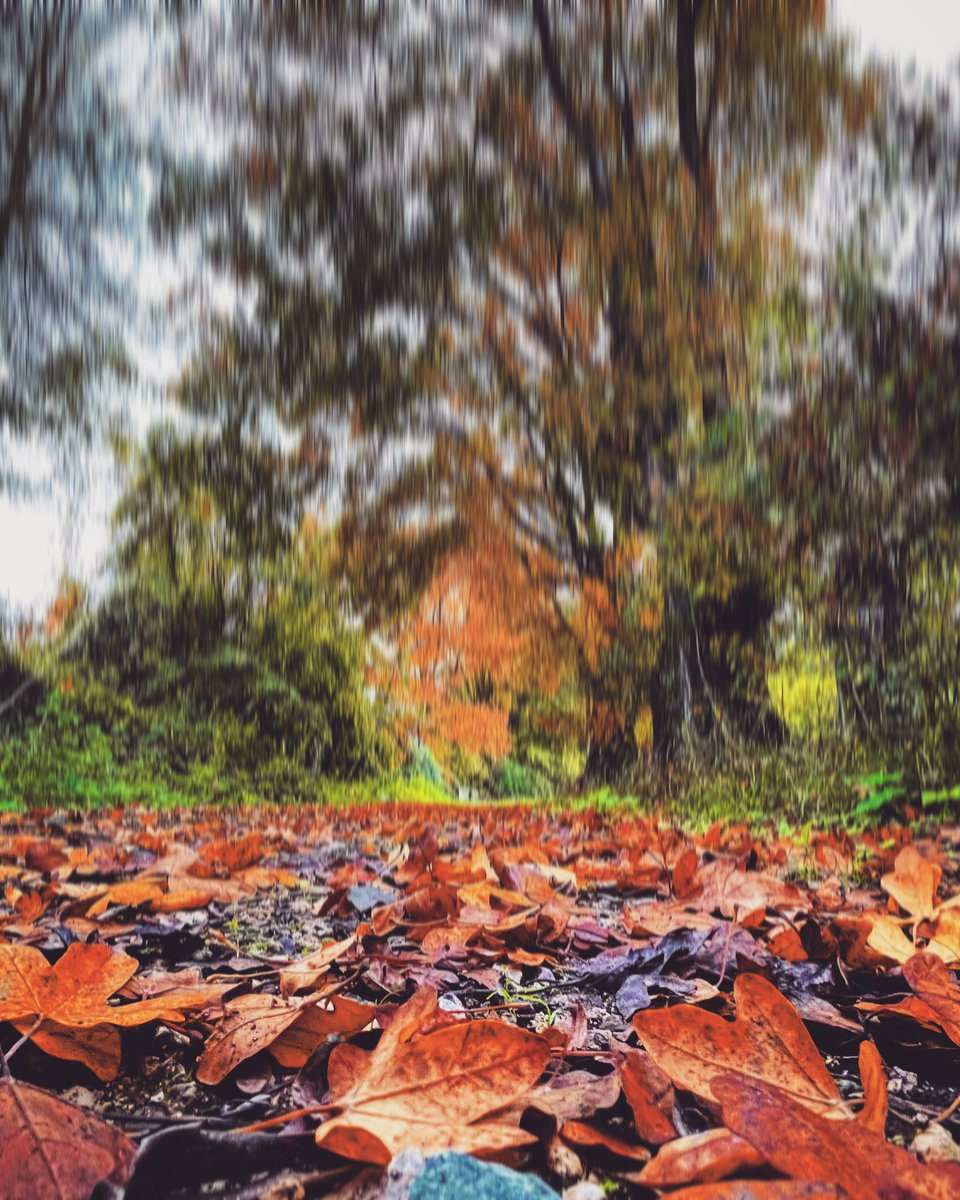 Rud iPlok (@rud_iplok) on Twitter photo 