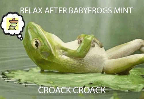Lorenzo25008918's tweet photo. @Solanababyfrogs Croack Croack #babyfrogs #CROACK https://t.co/UFsDytVQOW