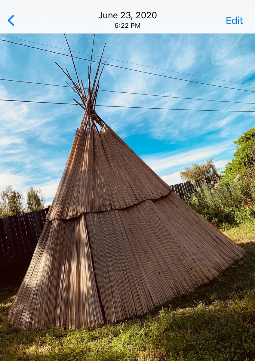 Cmtus_Sturgeon's tweet photo. Backyard urban tenting summer 2020
#tulemat #tulemattipi #tulematlodge #tule https://t.co/t7smtFhdRX