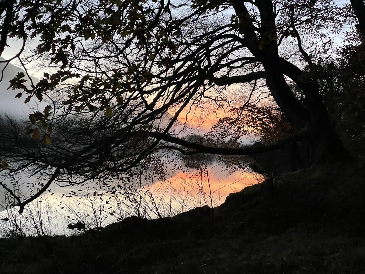 Susan_Venables's tweet photo. …and a stunning late #Saturday afternoon #DogWalk as well #Balquhidder #Scotland. So lucky to live in such a beautiful place #NeverTakeForGranted #StaySafe everyone 🙏🌗🏔 https://t.co/jFphzw8C4l