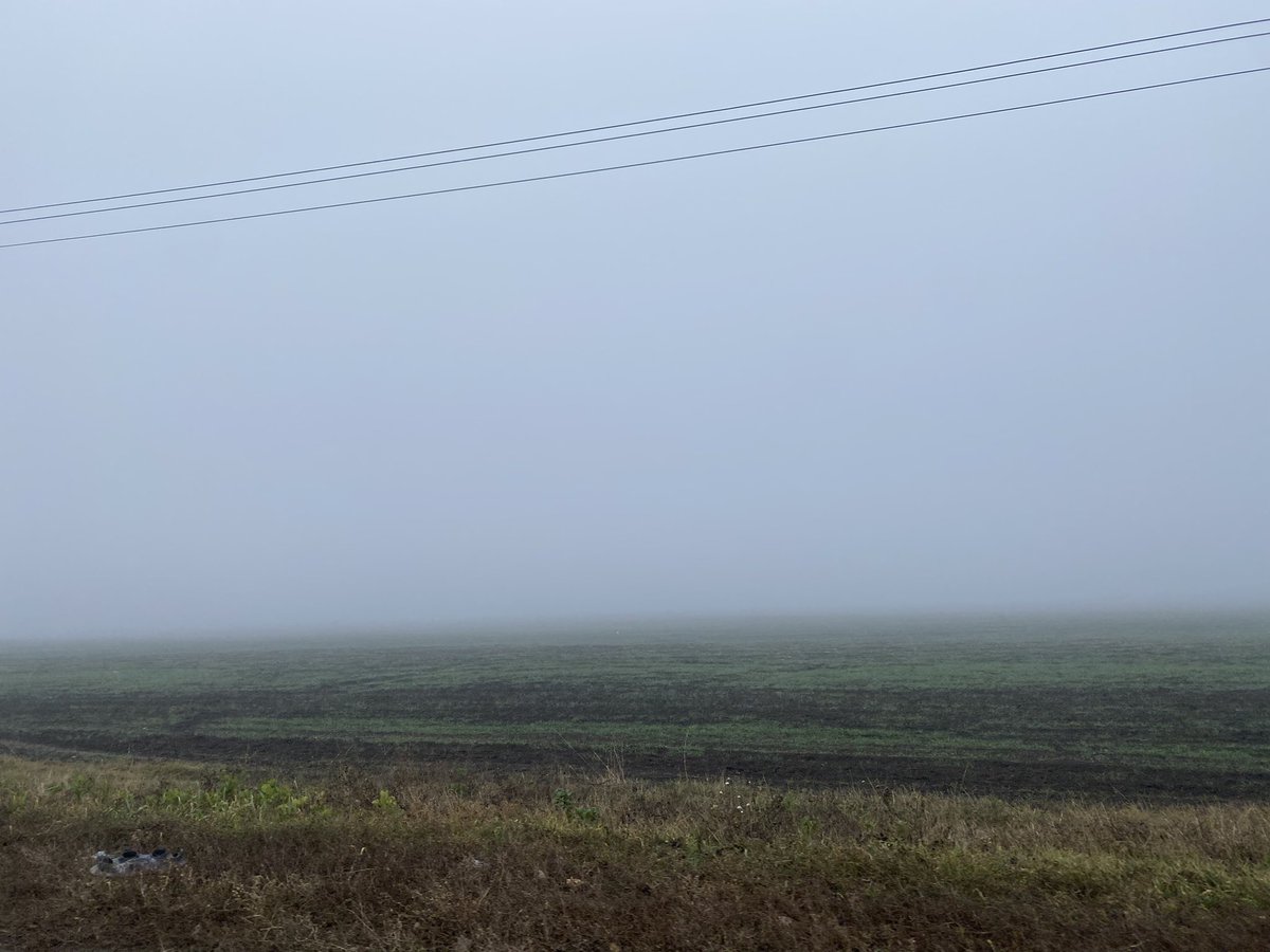 CatBad_'s tweet photo. It's a very foggy morning. Everything is like milk! https://t.co/KiD3oTu86F