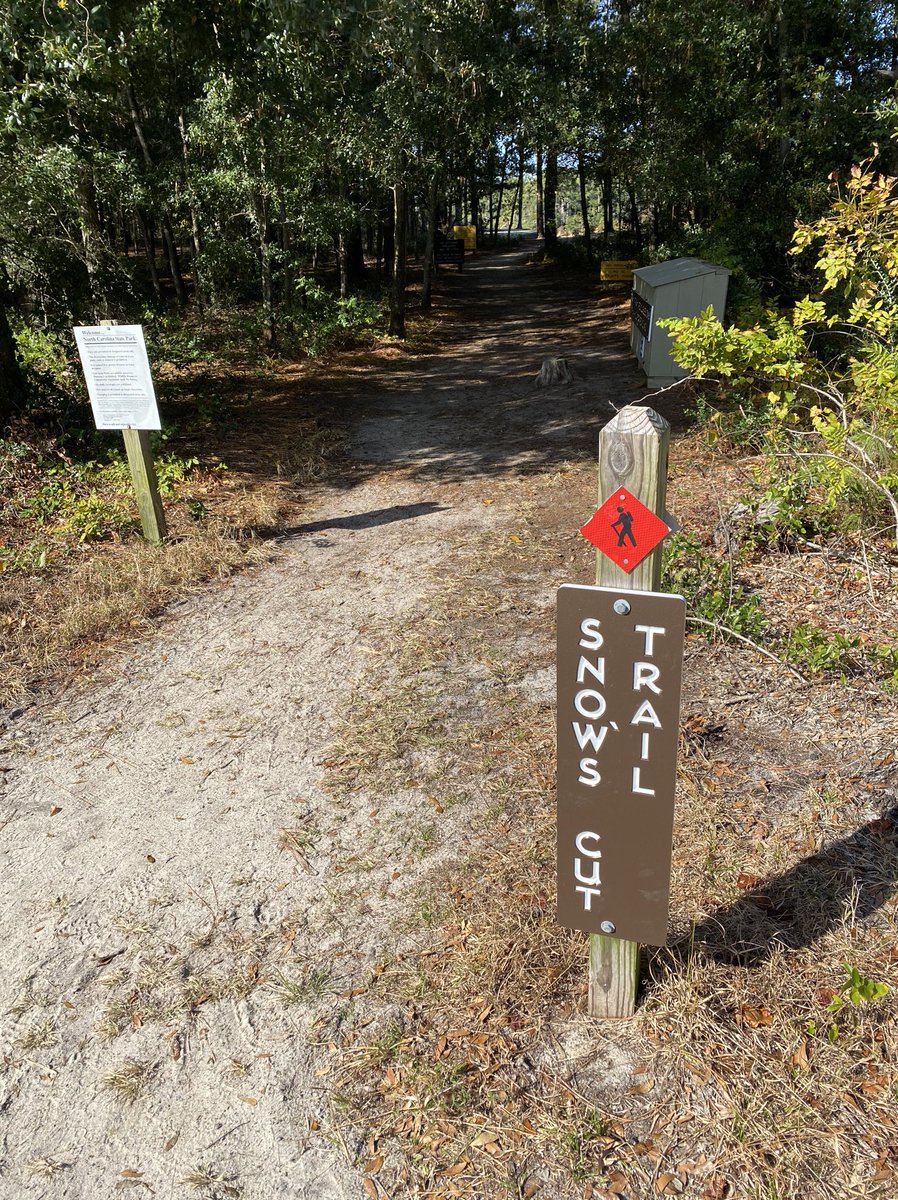 zmanruns's tweet photo. Saturday trail running with friends 🏃🏻♂️🏃🏽♀️😎💕 #ultrarunner #runtrails #CarolinaBeachStatePark https://t.co/LOpuPlo5xG