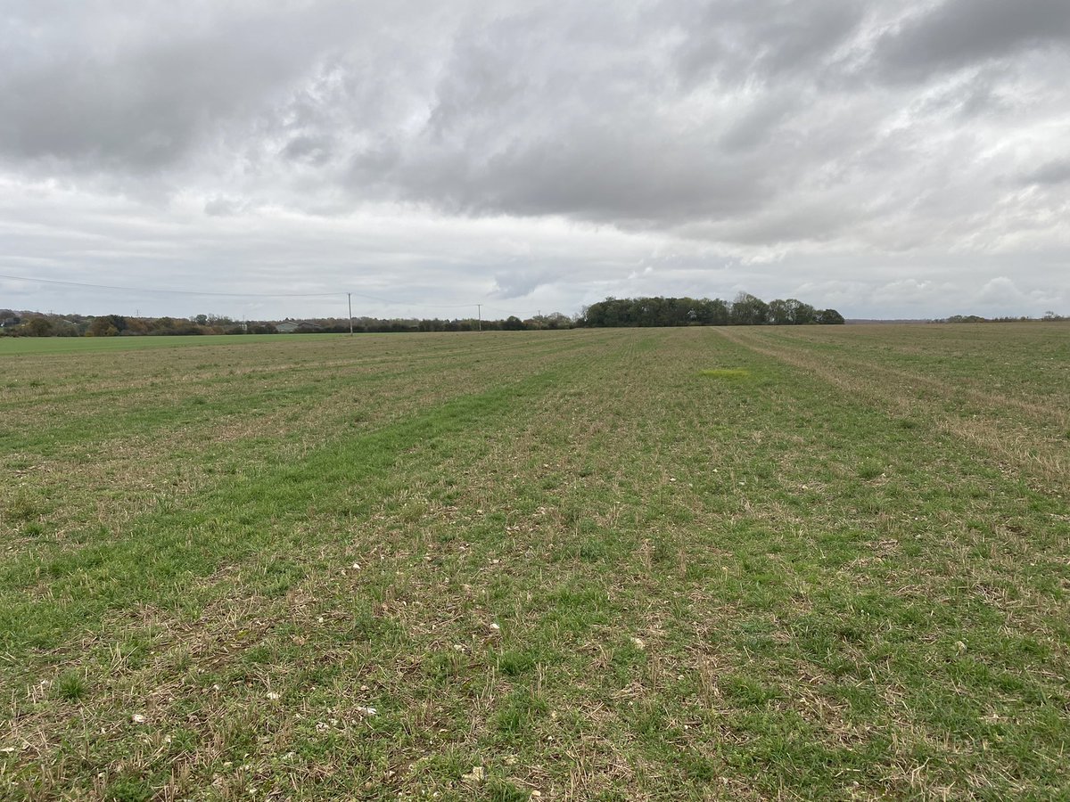 keep1604's tweet image. End of great day